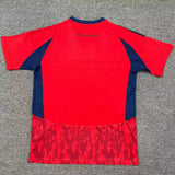Independiente Medellín 25/26 Home Jersey - Concept Kits