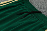 Italian 26/27 White/Green/Yellow Stripes Training Tracksuit Set