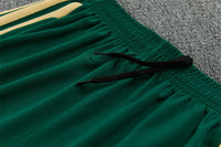 Italian 2627 Green/White/Yellow Stripes Training Tracksuit Set