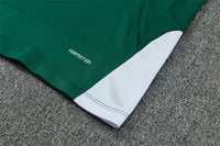 Italian 2627 Green/White/Yellow Stripes Training Tracksuit Set