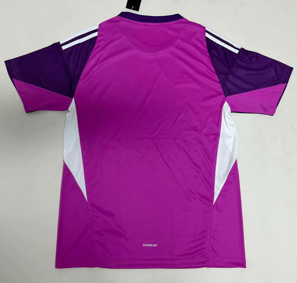 Italy 25/26 Goalkeeper Purple Jersey