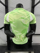 Italy 25/26 Green Away Player Version Jersey