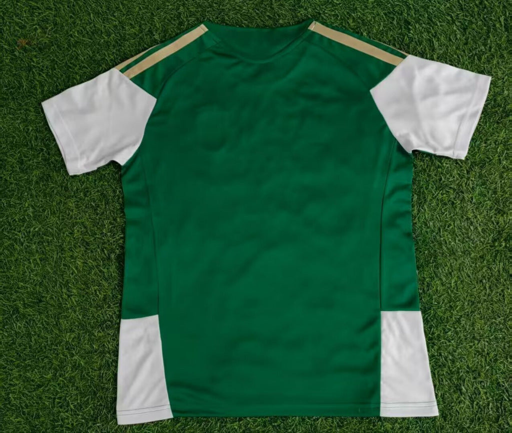 Italy 26/27 Green/White Training Jersey