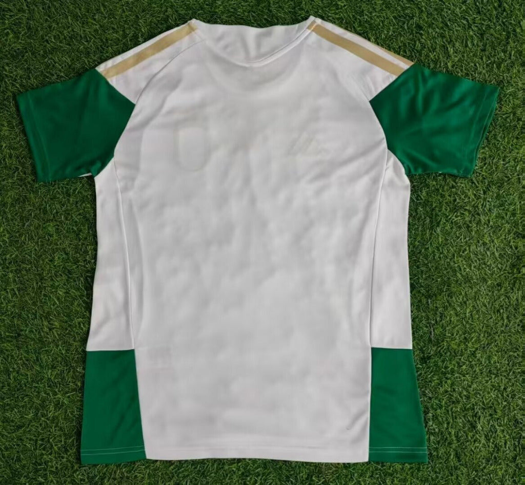 Italy 26/27 White/Green Training Jersey