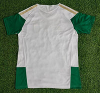 Italy 26/27 White/Green Training Jersey