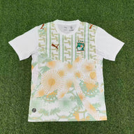 Ivory Coast 2026 Cote d'Ivoire White/Sunray Away Jersey