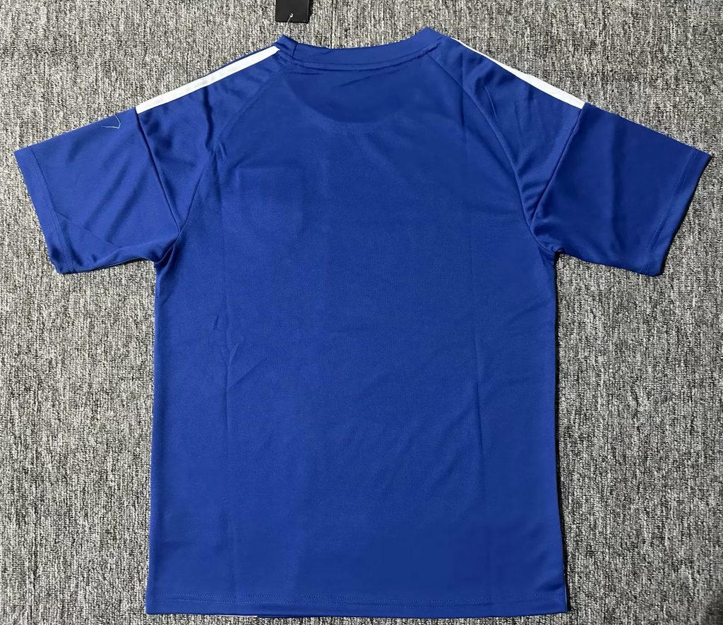 Japan 25/26 Blue Super Saiyajin Vegeta Anime Special Jersey