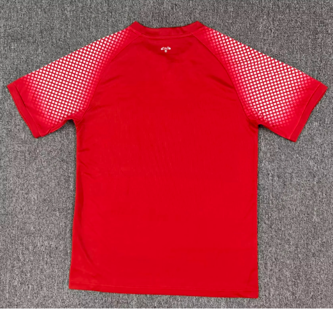 Jordan 2026 World Cup Red/White Gradient Grid Away Jersey