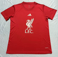Liverpool 25/26 Red DNA Graphic T-Shirt
