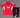 Liverpool 25/26 Red/White Training Kids Jersey Set
