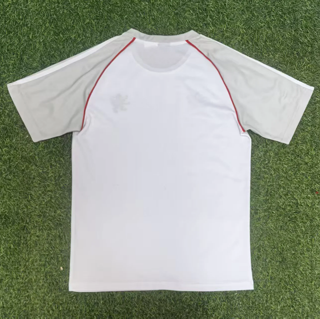 Lyon 25/26 Grey White Away T-shirt
