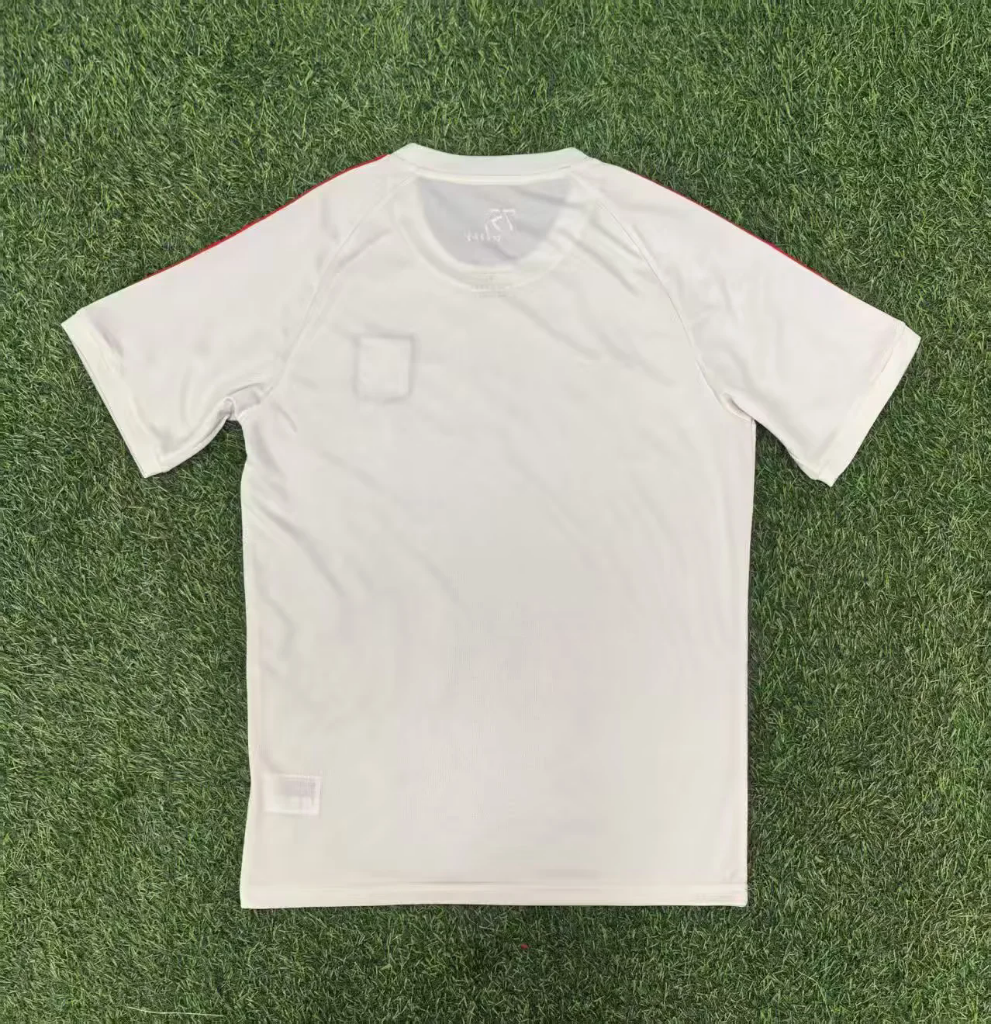 Lyon 25/26 White Anniversary Edition Jersey - Concept Kits