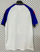 Lyon 26/27 Blue Sleeve/Red/Blue Central Stripe Home Jersey
