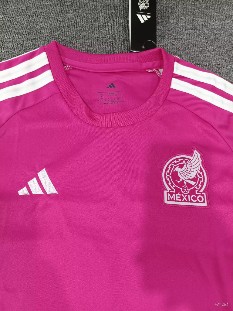 Mexico 2026 Pink Home Goalkeeper Women Jersey