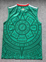 Mexico 25/26 Green World Cup Home Vest