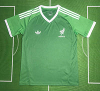 Mexico 25/26 Training Green Jersey