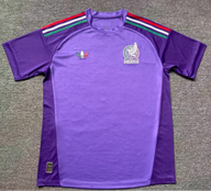 Mexico 26/27 Purple Goalkeeper Jersey