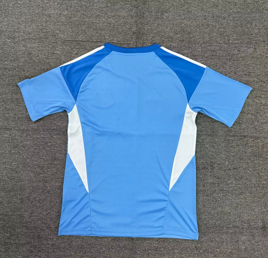 Newcastle 25/26 Goalkeeper Blue Jersey
