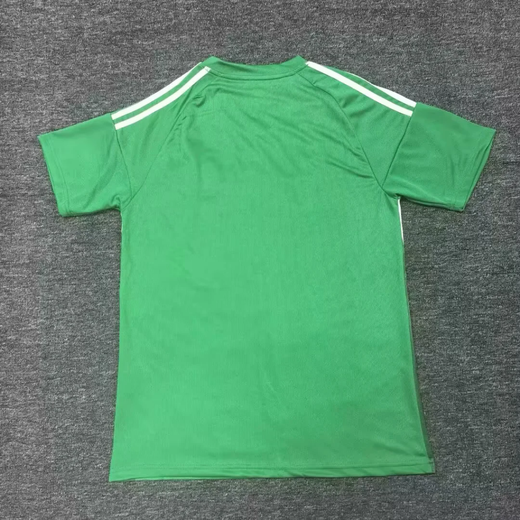 Newcastle 25/26 Green Special Version Jersey