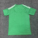 Newcastle 25/26 Green Special Version Jersey
