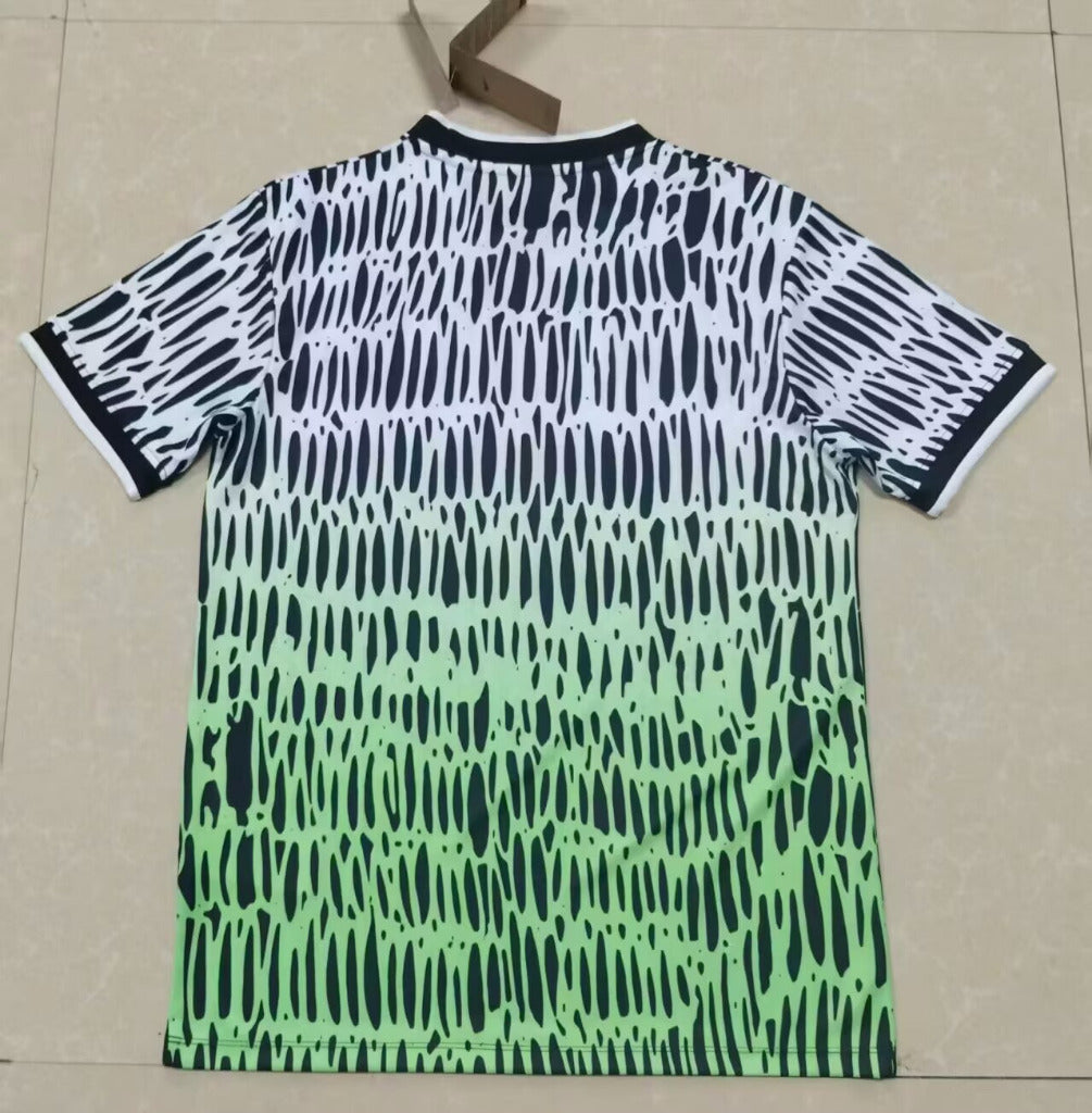 Nigeria 2026 White/Black/Green Special Training Jersey