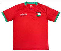 Palestine 26/27 Red/Green Away Jersey