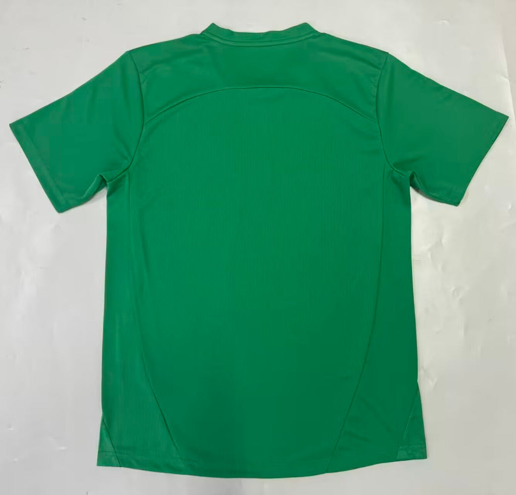 Palmeiras 25/26 Goalkeeper Green Jersey - Concept Kits