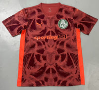 Palmeiras 25/26 Goalkeeper Red Jersey - Concept Kits