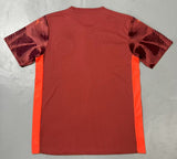 Palmeiras 25/26 Goalkeeper Red Jersey - Concept Kits