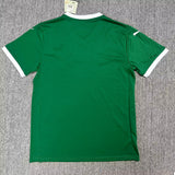 Palmeiras 25/26 Home Jersey - Concept Kits