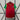 Portugal 1998 Vintage Retro Red/Green Home Jersey
