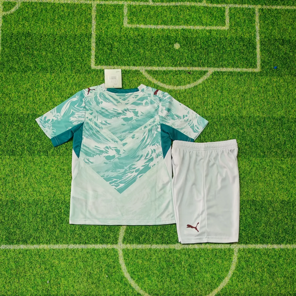 Japan 2026 Blue/White Home Long Sleeves Jersey