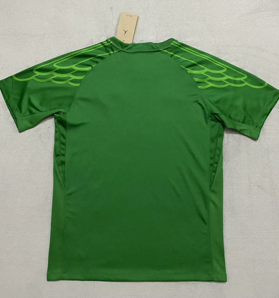 PSG 25/26 Goalkeeper Green Jersey - Concept Kits