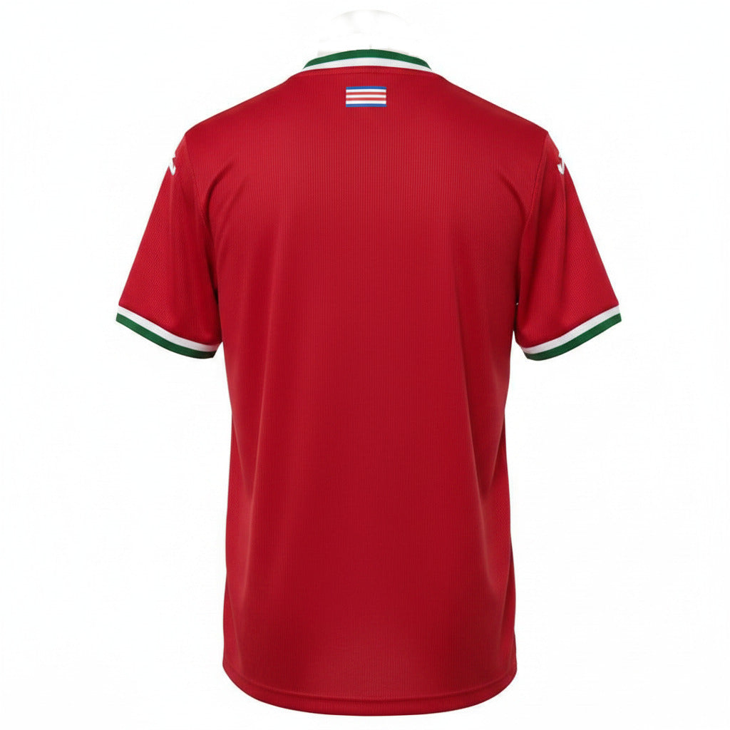 Real Sociedad 26/27 Red/White/Green Trim Third Away Jersey