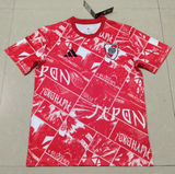 River Plate 25/26 Red Training Jersey - Concept Kits