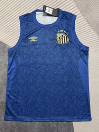 Santos 25/26 Blue Vest - Concept Kits
