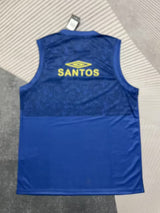 Santos 25/26 Blue Vest - Concept Kits