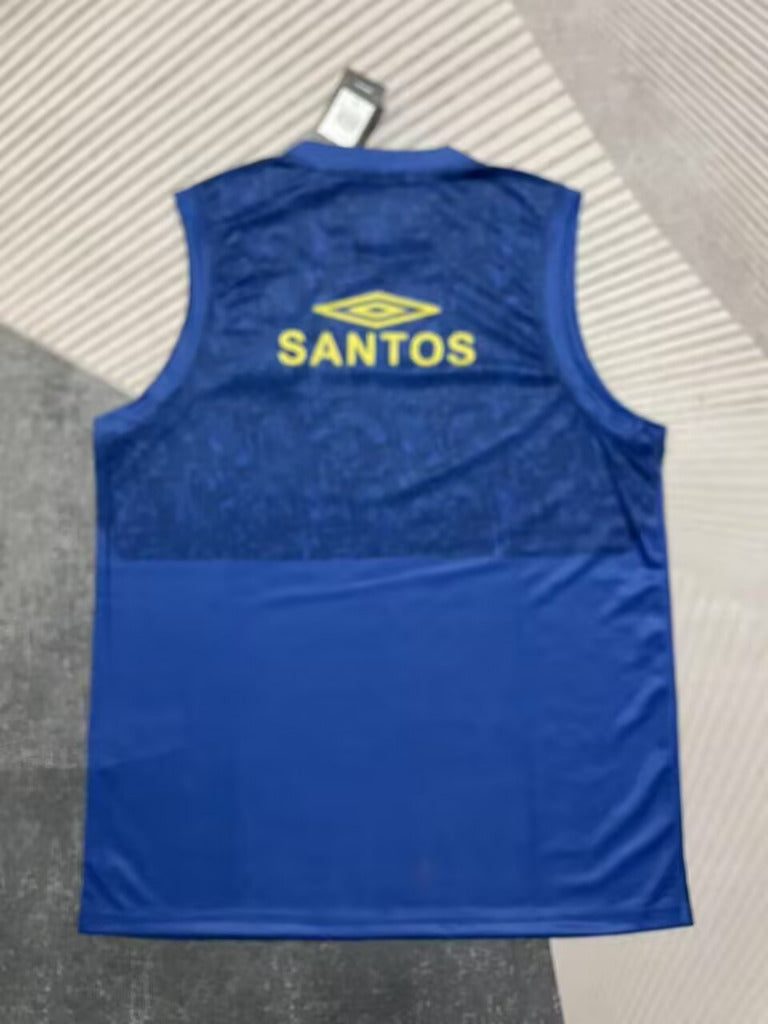 Santos 25/26 Blue Vest - Concept Kits