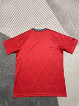 Sao Paulo 25/26 Red Training Jersey - Concept Kits