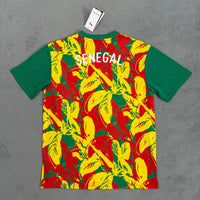 Senegal 25/26 Green Pre-Match Special Version Jersey