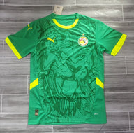 Senegal 25/26 Green/Yellow Away Jersey