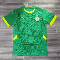 Senegal 25/26 Green/Yellow Away Jersey
