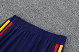 Spain 26/27 Bright/Dark Blue Double Star Design Training Tracksuit Set