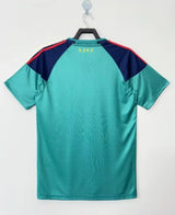 Spanish 2010 Retro Green Goalkeeper Jersey