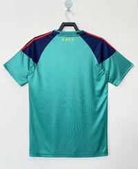 Spanish 2010 Retro Green Goalkeeper Jersey