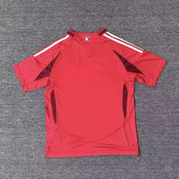 St. Louis City 25/26 Red Home Jersey