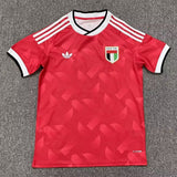 UAE 2026 Red/White Stripes Away Jersey
