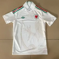 Wales 2026 White/Red/Green Away Jersey