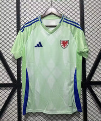 Wales 25/26 Green/Blue Away Jersey
